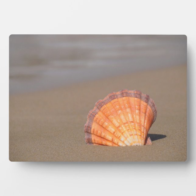 Scallop Shell| Crete, Greece Plaque (Front)