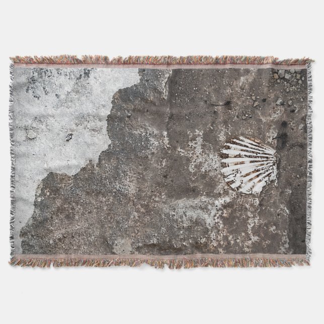 Scallop Shell Fossil Throw (Front)