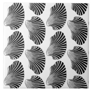 Scallop Shell Print, Black and White Tile