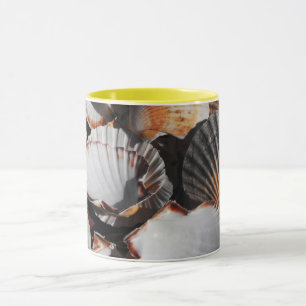 Scallop shells mug