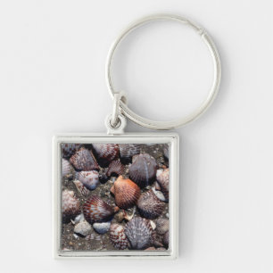 Scalloped Colourful Seashells On A Black Sand Key Ring