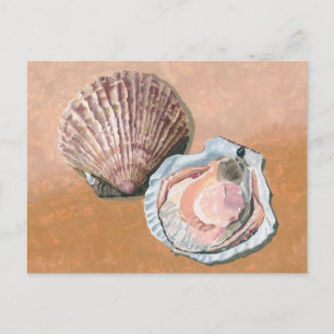 Scallops Still Life Postcard