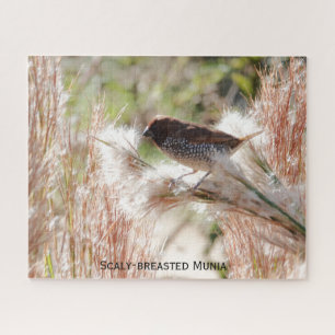 Scaly-breasted Munia; Bird Lover's  Jigsaw Puzzle