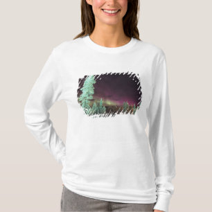 Scandinavia, Finland, Lapland, Kakslauttanen, T-Shirt