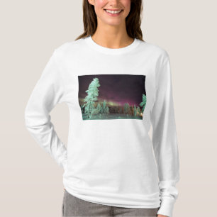 Scandinavia, Finland, Lapland, Kakslauttanen, T-Shirt