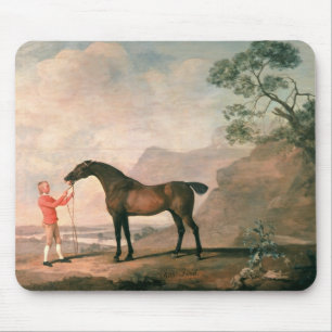 Scapeflood Mouse Pad