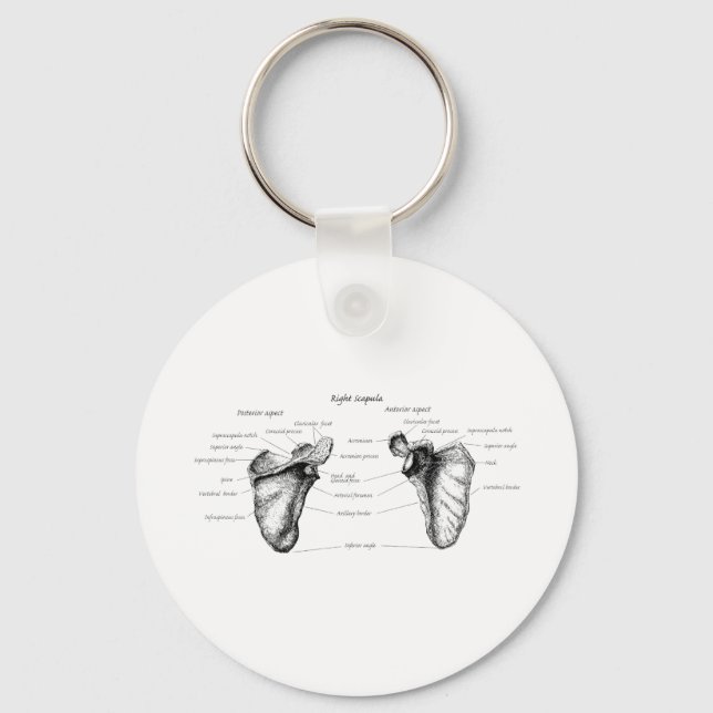 Scapula Details Key Ring (Front)