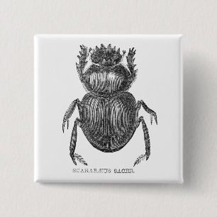Scarab Beetle 15 Cm Square Badge