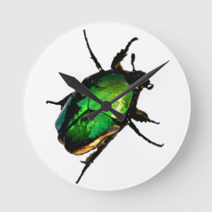 Scarab Beetle Round Clock