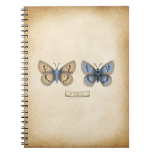 Scarce Large Blue Butterfly Specimen Vintage Style Notebook