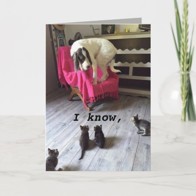 SCARDY DOG CARD (Front)