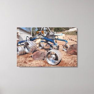 Scarecrow, a mobility-testing model canvas print