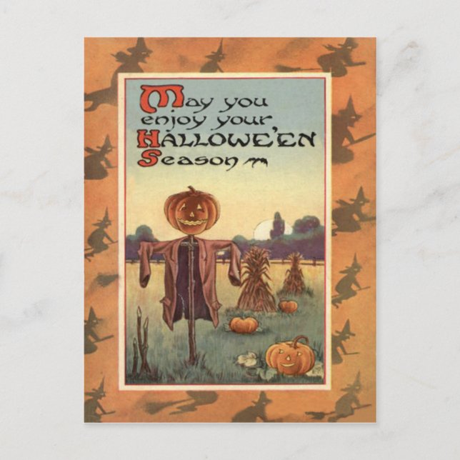 Scarecrow Jack O Lantern Pumpkin Postcard (Front)