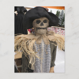 Scarecrow Postcard