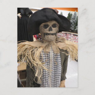 Scarecrow Postcard
