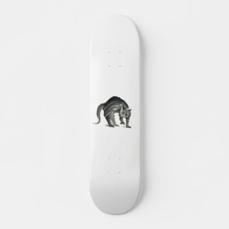 scared cat abstract skateboard