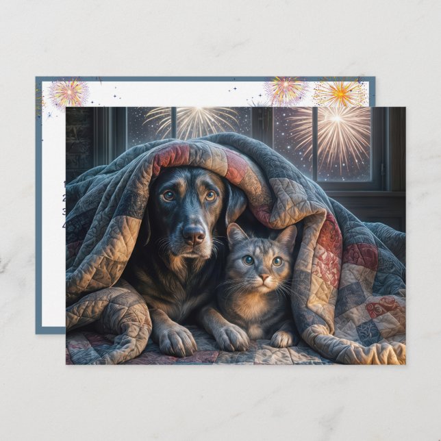 Scared Dog and Cat Watching Fireworks Postcard (Front/Back)