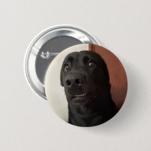 Scared Dog Meme Pin Button
