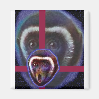 Scared monkey magnet