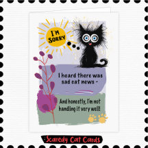 Scaredy Cat "Cat Sympathy"