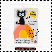 Scaredy Cat Dog Sympathy