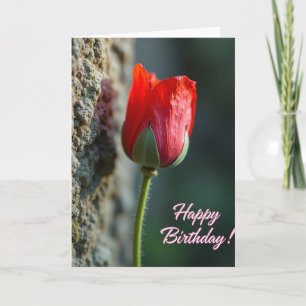 Scarlet Blossom Birthday Card