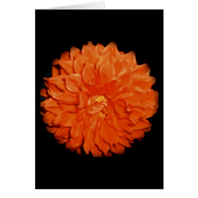 Scarlet Flora (Front)