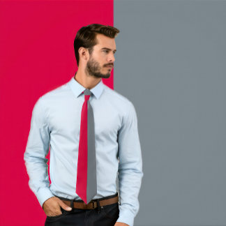 Scarlet & GraySplit Colour Tie