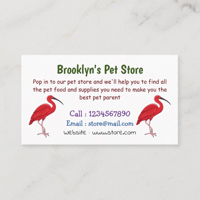 Scarlet ibis bird cartoon illustration business card (Front)