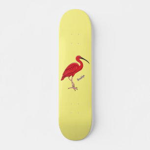 Scarlet ibis bird cartoon illustration  skateboard