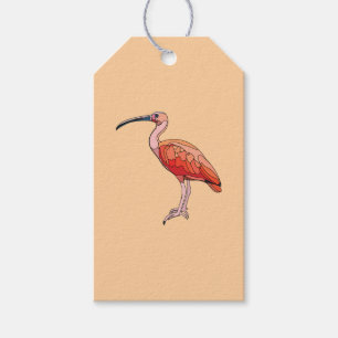 Scarlet Ibis Bird Happy Birthday Gift Tags