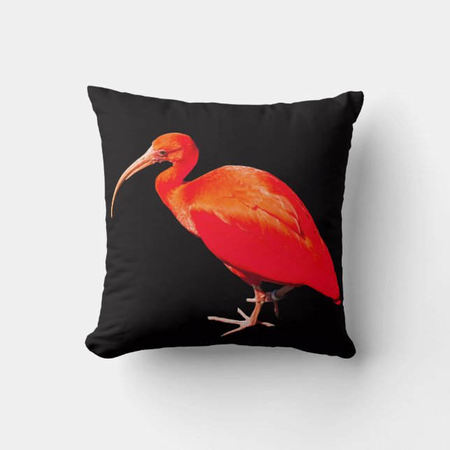 Scarlet Ibis Cushion (Front)