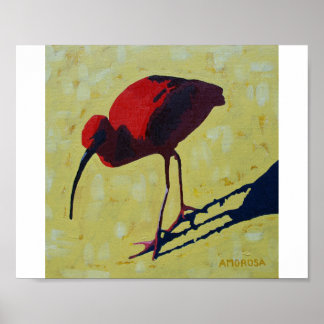 Scarlet Ibis Poster