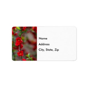 Scarlet Line Address Labels