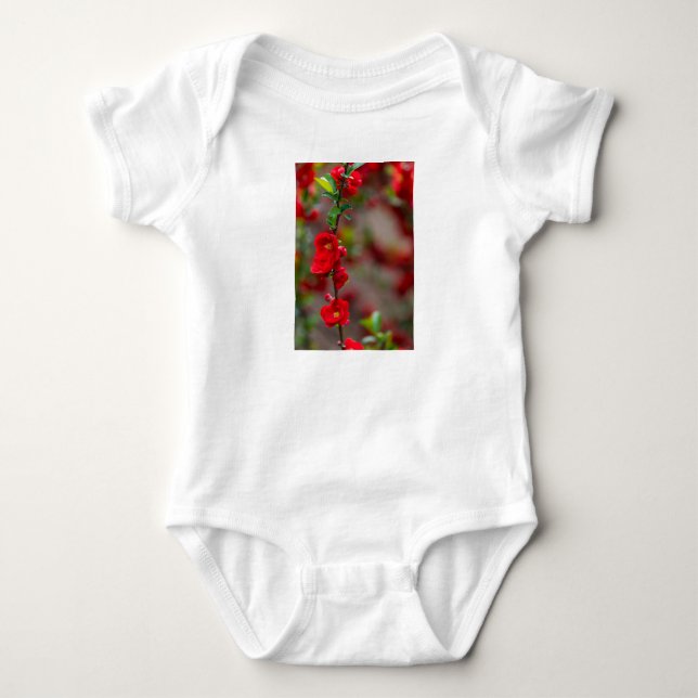 Scarlet Line Baby Bodysuit (Front)