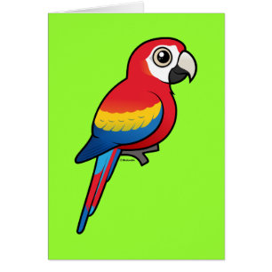 Scarlet Macaw