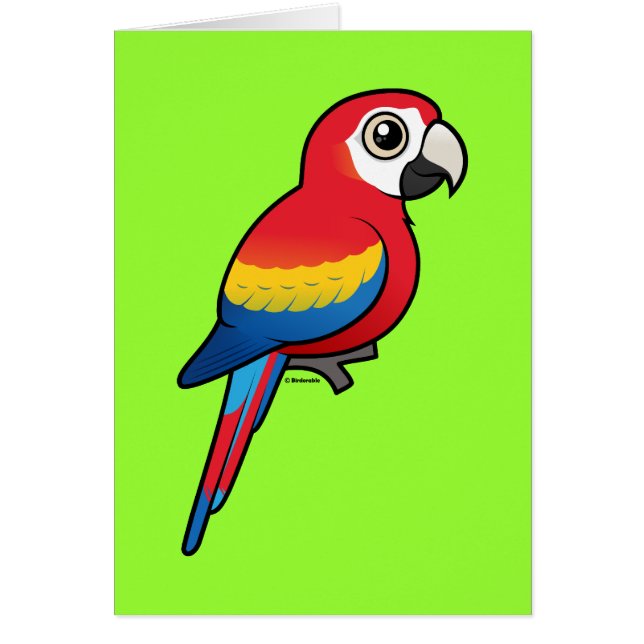 Scarlet Macaw (Front)