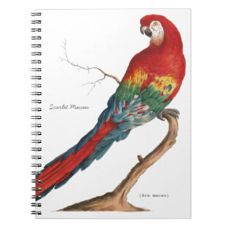 Scarlet Macaw, Ara macao Notebook