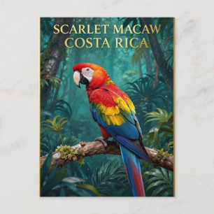 🌴 Scarlet Macaw Costa Rican Wildlife Postcard