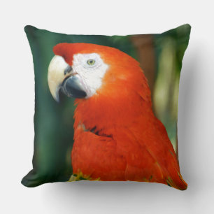 Scarlet Macaw Cushion