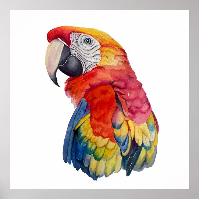 Scarlet Macaw – Expressive Watercolor Bird Art Poster (Front)