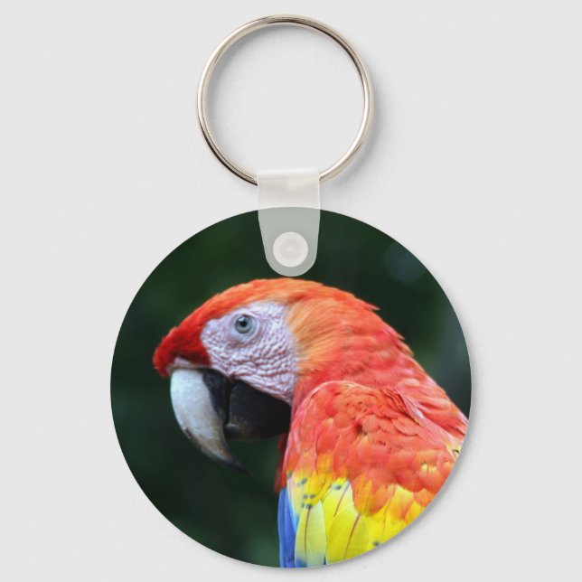 scarlet macaw face key ring (Front)