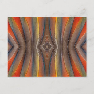 Scarlet Macaw feather design Postcard
