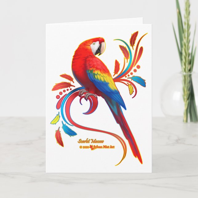 Scarlet Macaw Holiday Card (Front)