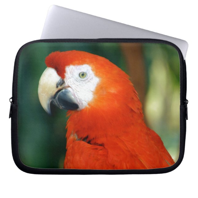 Scarlet Macaw Laptop Sleeve (Front)