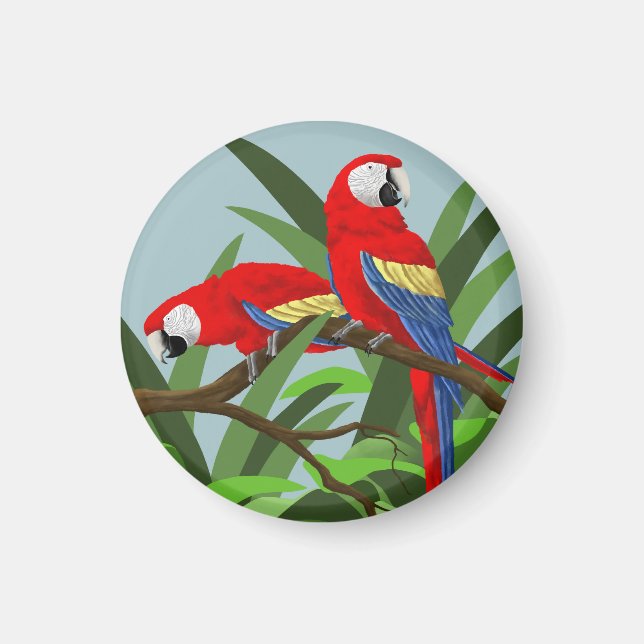 Scarlet Macaw Magnets (Front)