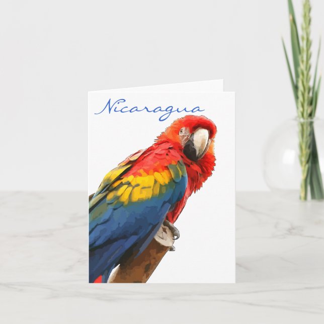 Scarlet Macaw Nicaragua Note Card (Front)