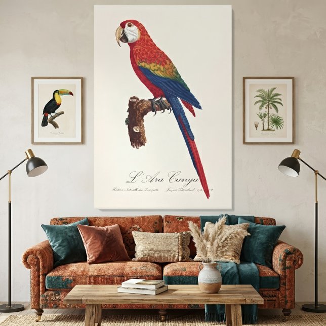 Scarlet Macaw or Red-Breasted Macaw, Ara macao Canvas Print (Scarlet Macaw or Red-Breasted Macaw, Ara macao. Canvas Print)