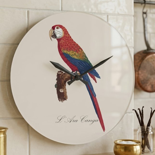 Scarlet Macaw or Red-Breasted Macaw, Ara macao Large Clock (Scarlet Macaw or Red-Breasted Macaw, Ara macao. Large Clock )