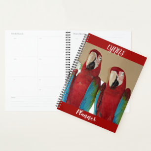 Scarlet Macaw Pair Tropical Red Layout Planner